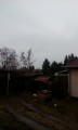 Sarud