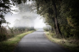 A ködös út