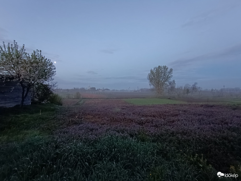 Szamosdara