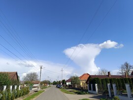 Szamosdara