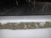 Intenzív havazás a Párciumi Szamosdarán. Kép 3.