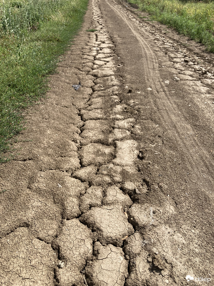 Aszály a Párcíumi Szamosdarán a Román/Magyar határtól alig 2 km re.