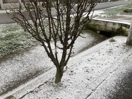 Szamosdara(Párcíum,Románia) Gyönyörű szép intenzitással hullik a hó.