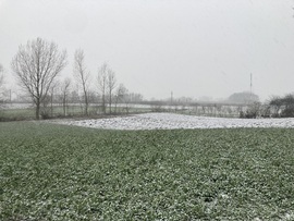 Szamosdara(Párcíum,Románia) Gyönyörű szép intenzitással hullik a hó.