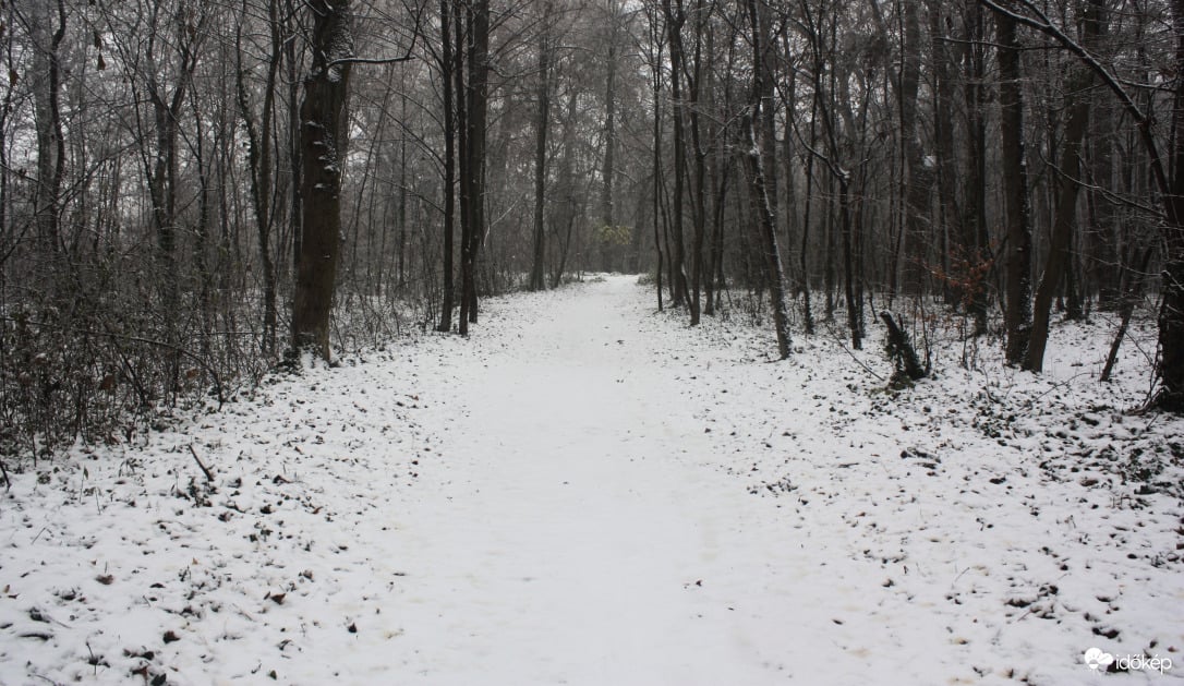 Park havas időben