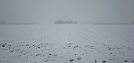 5 cm friss hóval borított táj
