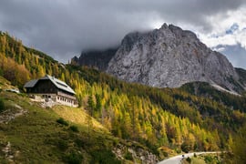 Alpesi környezet 1600m-es magasság felett