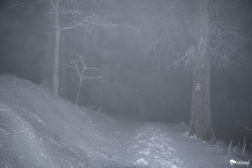 Ködbe veszett téli ösvény...