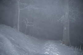 Ködbe veszett téli ösvény...