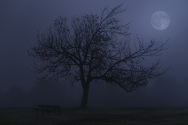 Misztikus éjszaka a ködrétegen keresztül világító Teliholddal Normafán.