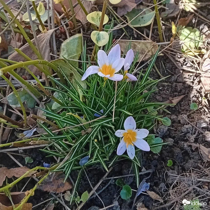 Tavasz Vas megyében