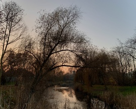 Alkony a holtágnál