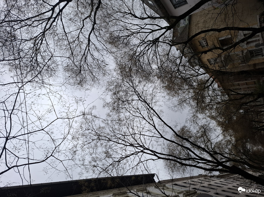 Budapest VI. ker