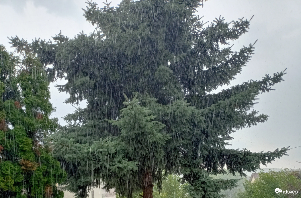 Sülysáp