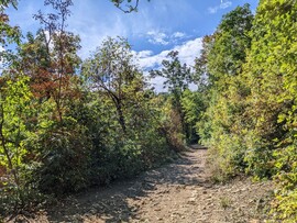 Buda