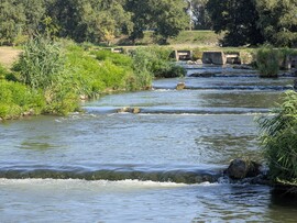 Kisköre