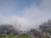 sunraw fotója