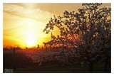 Tavaszi naplemente