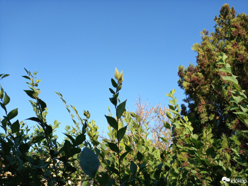 Szigetújfalu