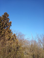 Szigetújfalu