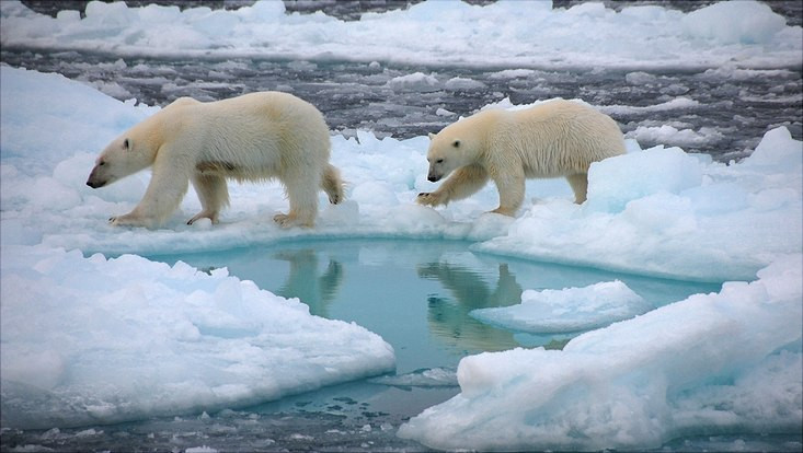 Olvadás (Dirk Notz/Universität Hamburg)