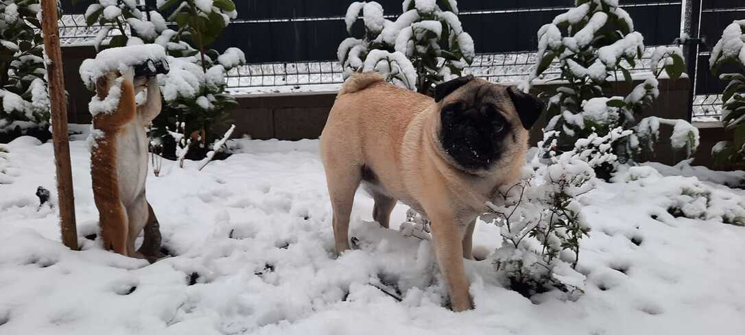 Fotó: Fejős Bernadeta