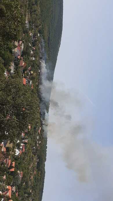 illusztráció