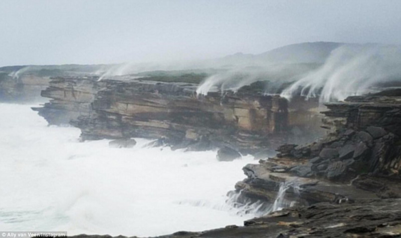 Forrás: Ally van Veen / Instagram