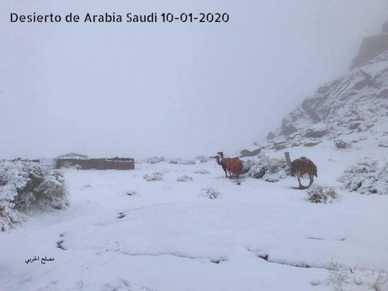 Szaúd-Arábia