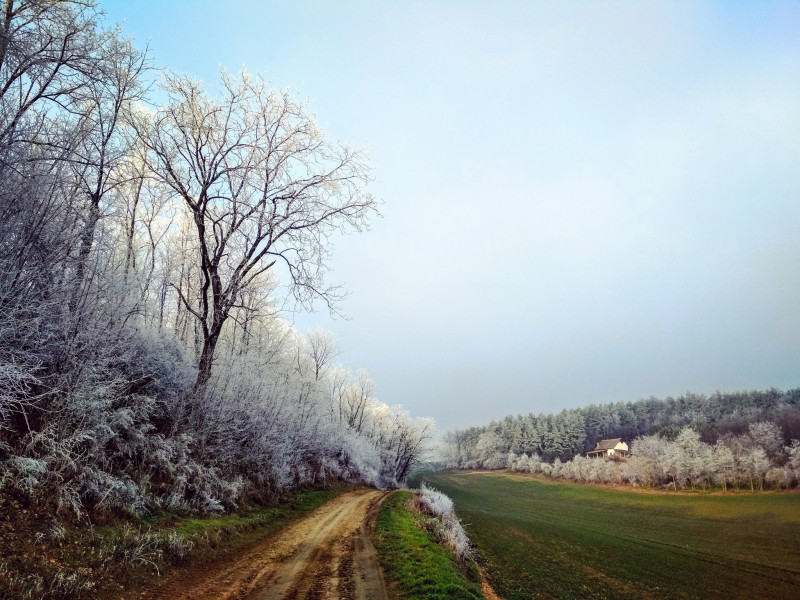 Jáhn Bálint fotója, Tolna megye