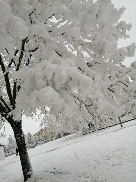 Kovács Bettina fotója