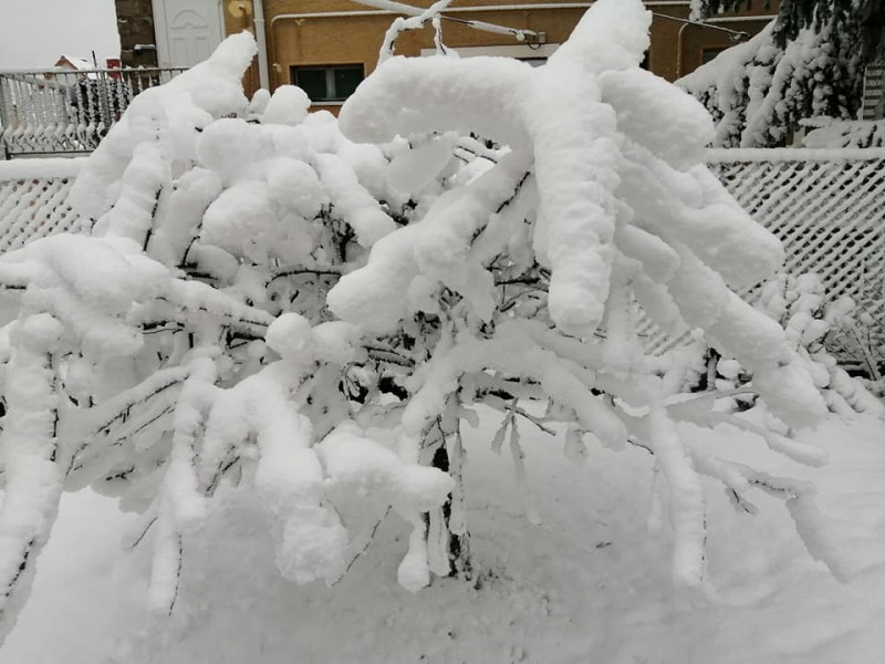 Kovács Bettina fotója