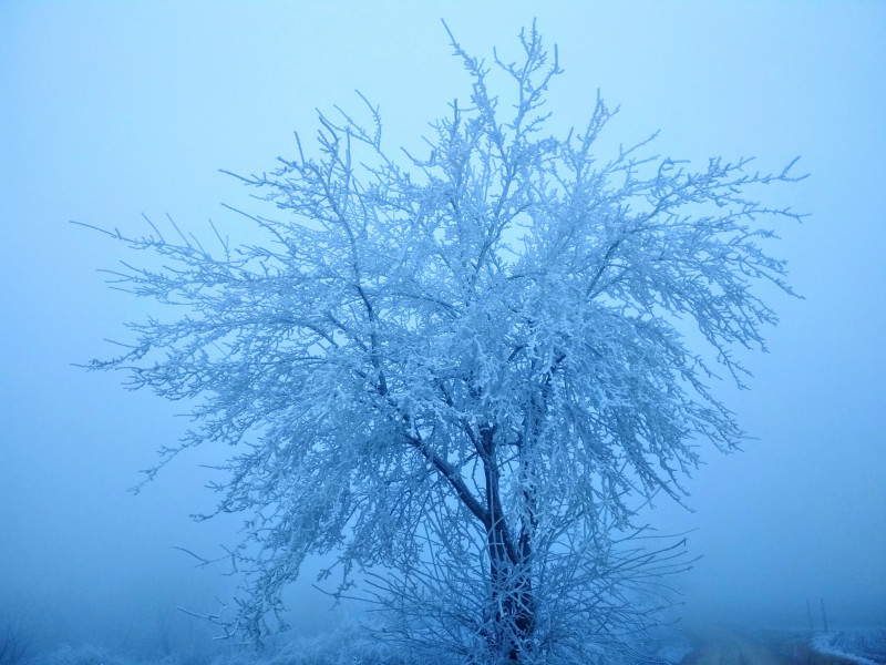 Jáhn Bálint fotója, Tolna megye