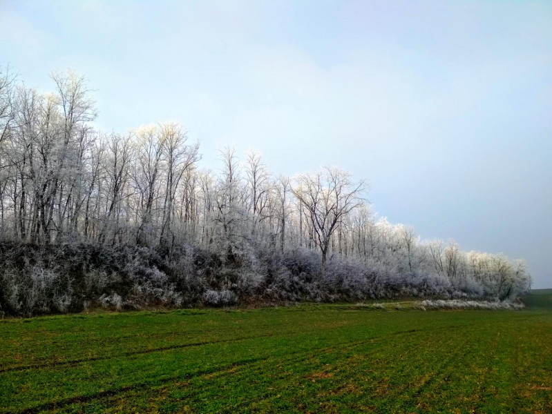 Jáhn Bálint fotója, Tolna megye