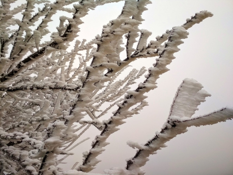 Jáhn Bálint fotója, Tolna megye