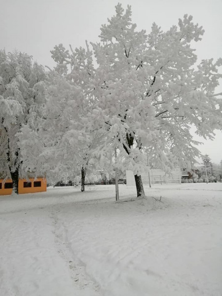 Kovács Bettina fotója