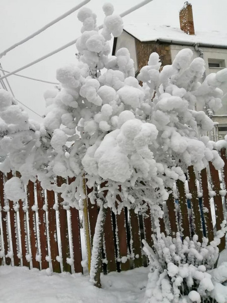 Kovács Bettina fotója