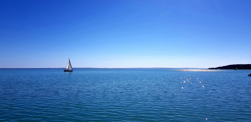 Nagy László fotója