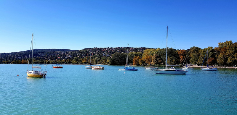 Nagy László fotója