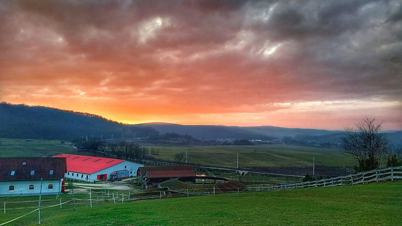 Balogh József fotója