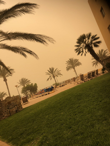 Forrás: Twitter/Chris van Lieshout