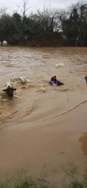 Dennis okozta árvizek