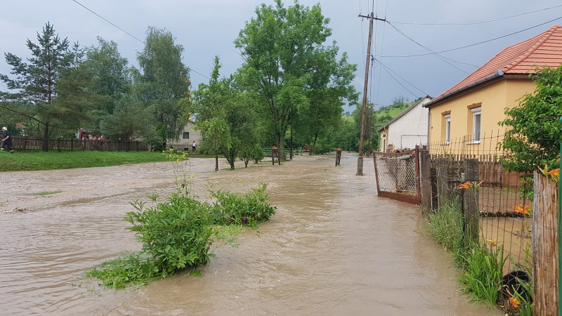 Dobos Dávid fotója