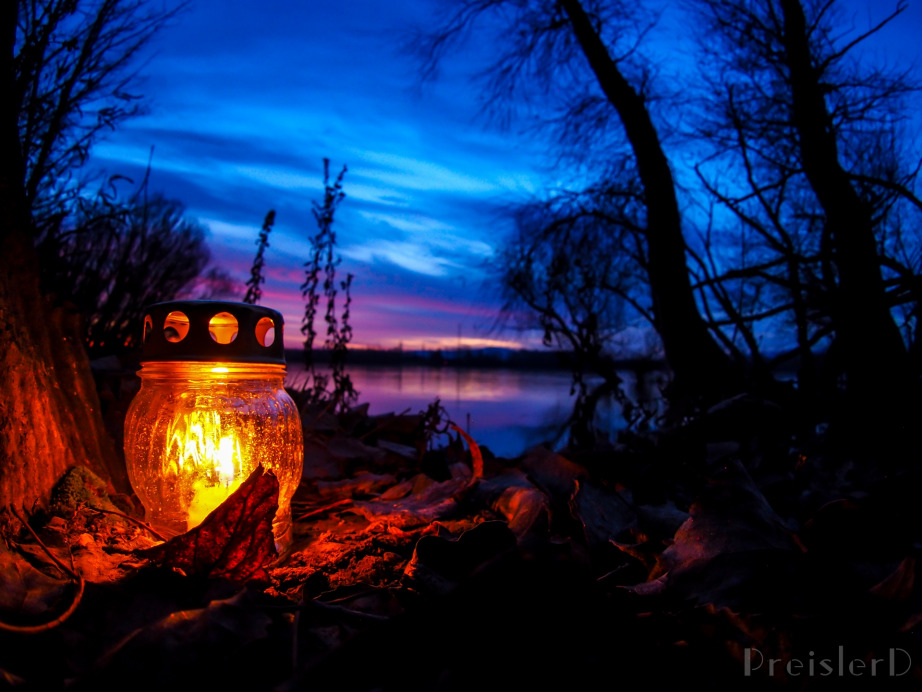 Preisler Dóra fotója