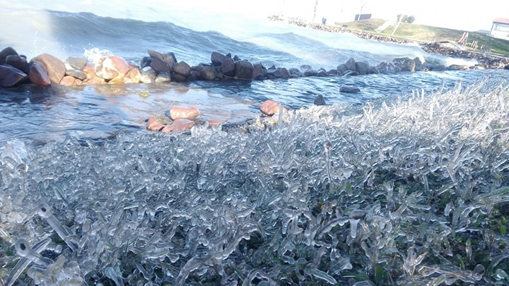 Szilágyi Eszter fotója, köszönjük!