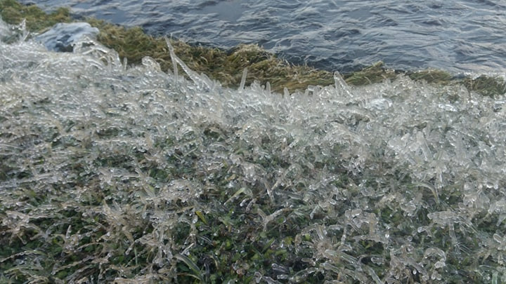 Szilágyi Eszter fotója, köszönjük!