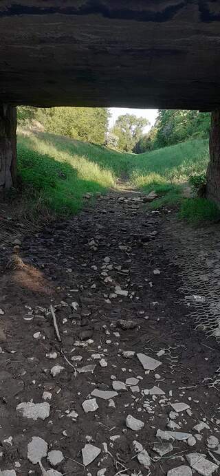 illusztráció