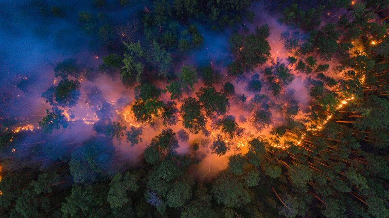 Szibériai tűz (Greenpeace Russia)