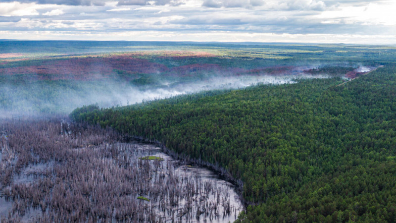 Szibériai tűz (Greenpeace Russia)