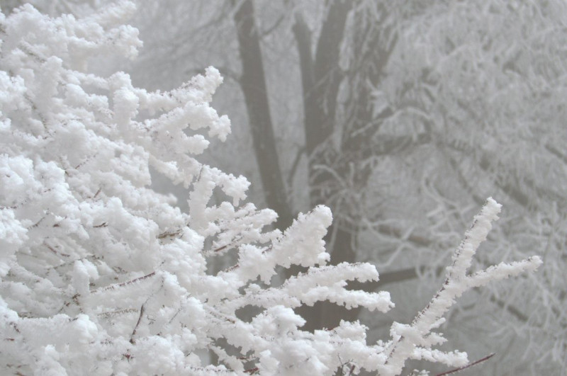 Hérincs Dávid fotója, János-hegy